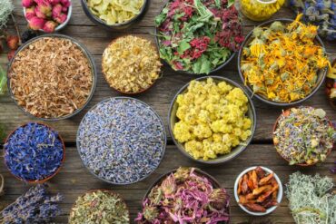 Curso de evaluación clínica Ayurvedica (Pariksha)